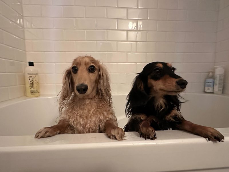 Draper and Rue in the bathtub