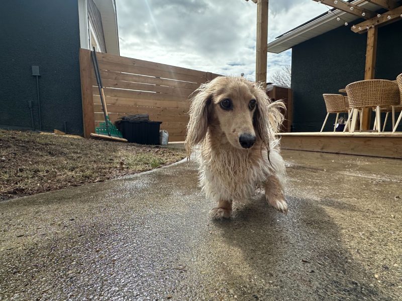 Draper walking in the rain