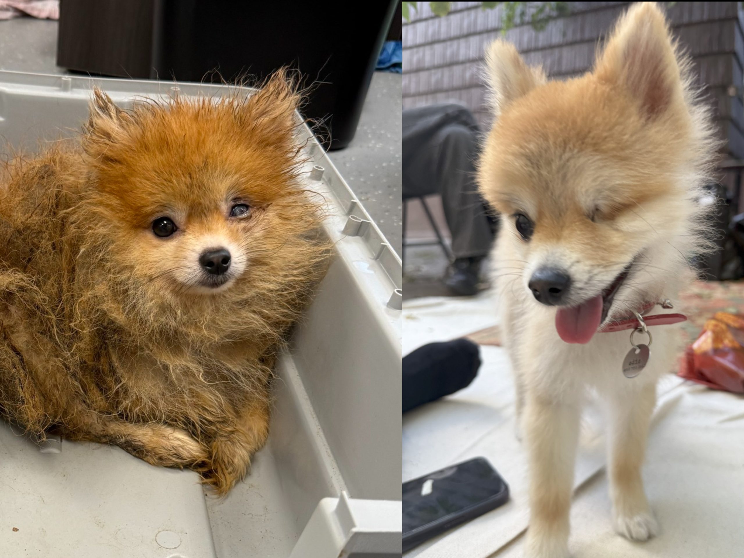 Edie's Glow Up